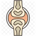Bones Icon