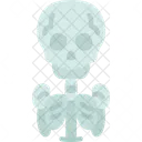 Bones Skeleton Death Icon