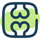 Bones Skeleton Skull Icon