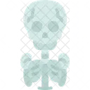 Bones  Icon