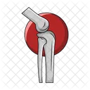Bones Joint Joint Biology Icon