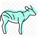 Bongo Mammal Antlers Icon