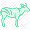 Bongo Mammal Antlers Icon