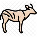 Bongo Mammal Antlers Icon