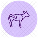 Bongo Icon