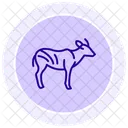 Bongo Icon