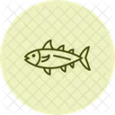Bonito  Icon