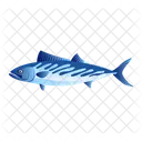 Bonito Fish  Symbol