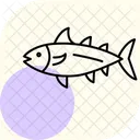 Bonito Ocean Marine Icon