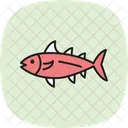 Bonito Ocean Marine Icon