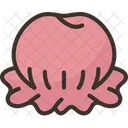 Bonnets Hat Warm Icon