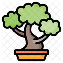 Bonsai Tree Plant Icon