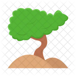 Bonsai  Icon