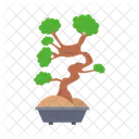 Nature Bonsai Tree Icon