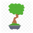 Nature Bonsai Tree Icon