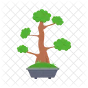 Nature Bonsai Tree Icon