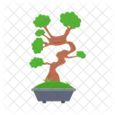 Nature Bonsai Tree Icon