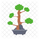 Nature Bonsai Tree Icon