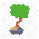 Nature Bonsai Tree Icon