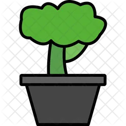 Bonsai  Icon