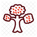 Bonsai  Icon