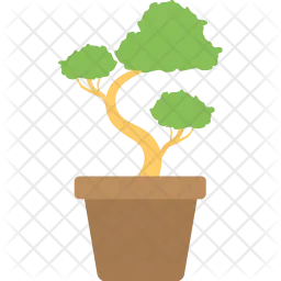 Bonsai  Icon