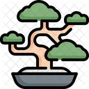 Bonsai Tree Japan Icon