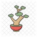 Bonsai  Icon