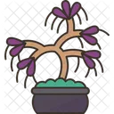 Bonsai Wisteria Branch Icon