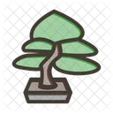 Bonsai  Icon