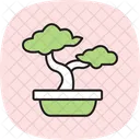 Poda De Bonsai Ícone