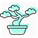 Árvore bonsai  Ícone