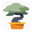 Bonsai Baum  Symbol