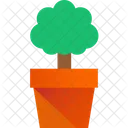 Bonsai Baum  Symbol