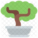 Bonsai Baum  Symbol