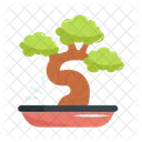 Bonsai  Icon