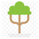 Bonsai  Icon