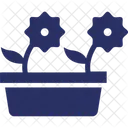 Bonsai  Icon