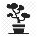 Bonsai  Symbol