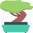 Bonsai  Icon