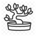 Bonsai  Icon