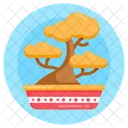 Bonsái  Icono