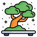 Bonsai  Ícone