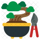 Bonsai  Icon