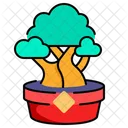 Bonsai  Ícone