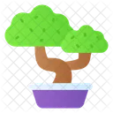 Bonsai  Icon