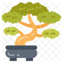 Bonsai  Icon
