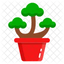 Bonsai Pflanze  Symbol