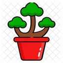 Bonsai Pflanze  Symbol