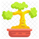 Bonsai Pflanze  Symbol